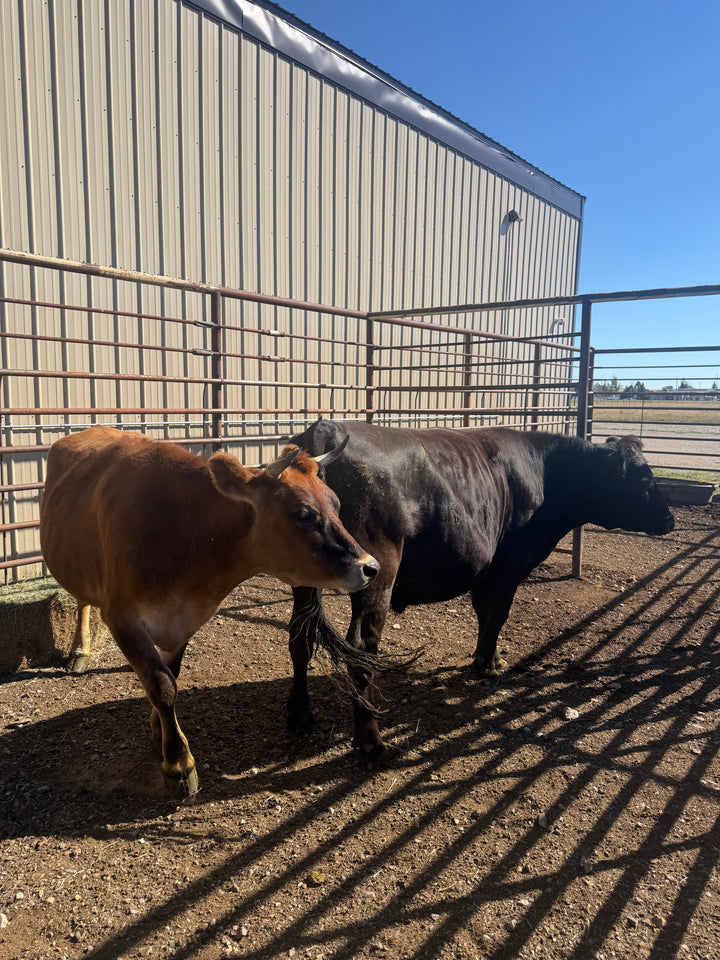 Quarter Beef, Organic