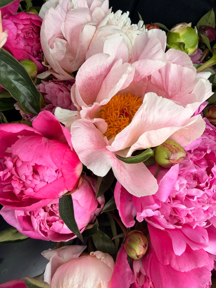 Mixed Peony Bouquet
