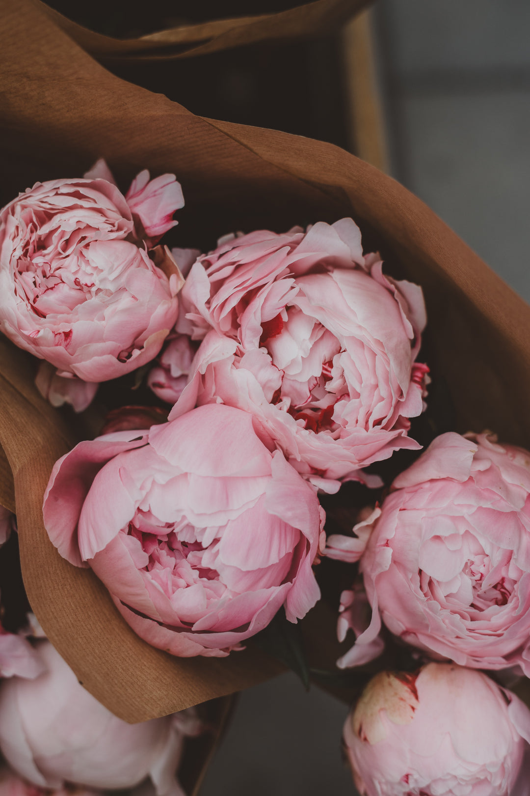 Spring Peony Subscription